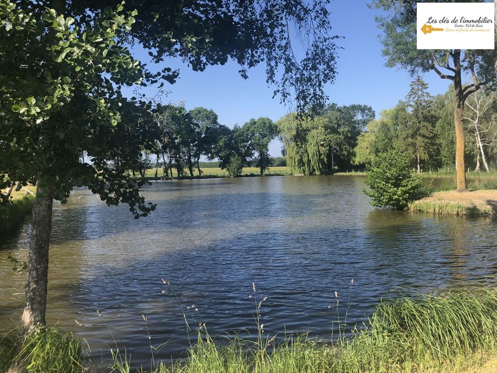 Terrain CHABRIS (36210) Les clés de l'immobilier